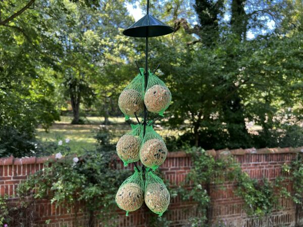 Meisenknödel 100 Stück á 95 g. (mit Netz) & Knödelhaken