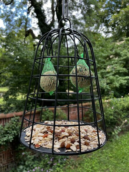 Geschützter Futterplatz inkl. Vogelfutter & Meisenknödel