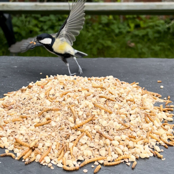 Terrassenfutter mit Insekten 5 kg